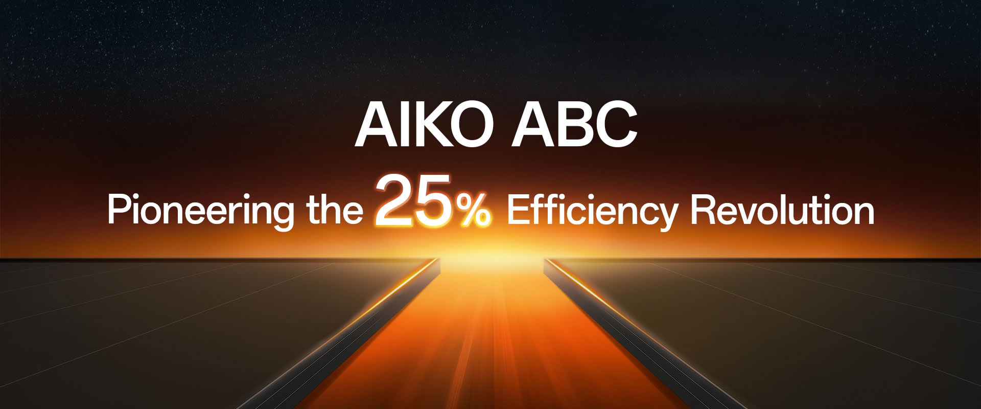 About AIKO Banner