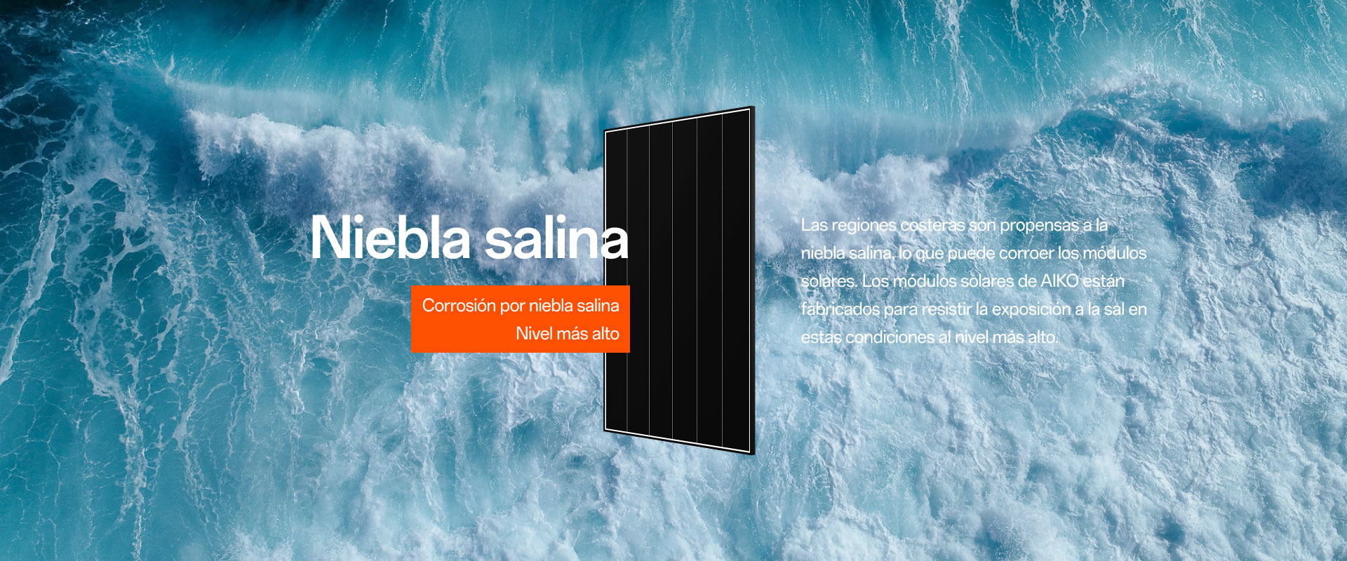 Niebla salina