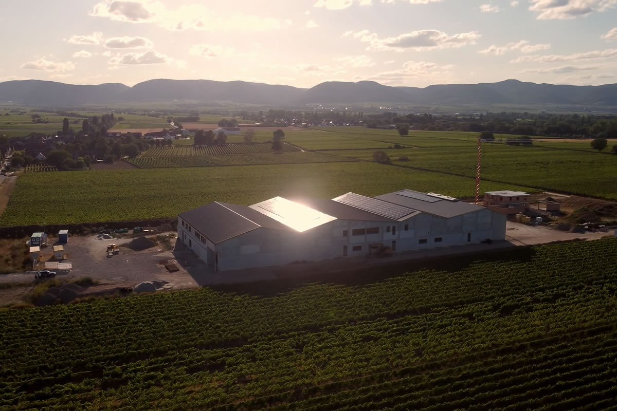 bg-img